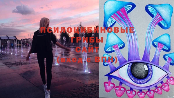 ешки Пролетарск